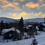 Cosy Ski-in Ski-out Mountain With Sauna טריסיל