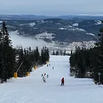 Horská chata Cosy Ski-in Ski-out Mountain With Sauna *