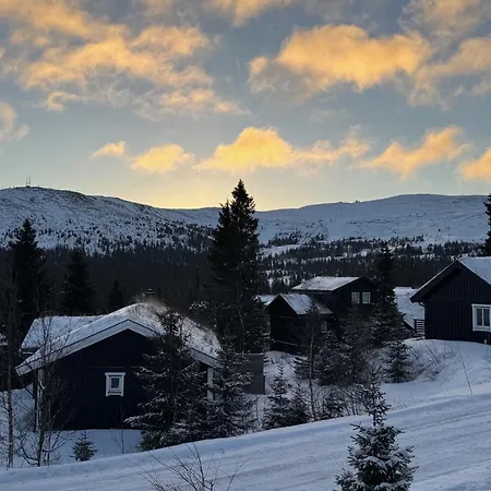 Cosy Ski-in Ski-out Mountain With Sauna Trysil