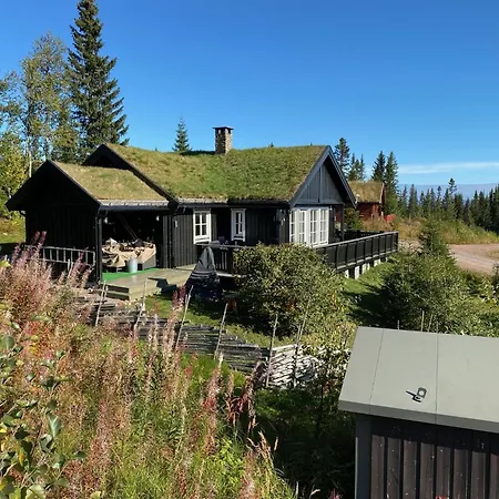 Cosy Ski-in Ski-out Mountain With Sauna Trysil