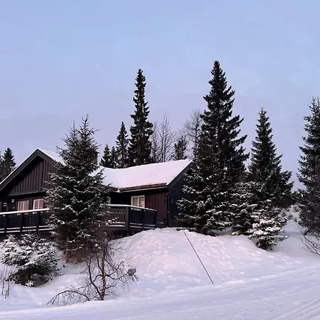 Cosy Ski-in Ski-out Mountain With Sauna