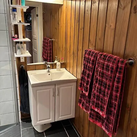 Alpehytte Cosy Ski-in Ski-out Mountain With Sauna