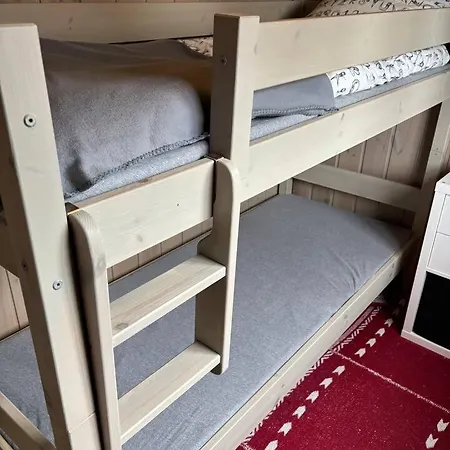 Cosy Ski-in Ski-out Mountain With Sauna Alpehytte Trysil