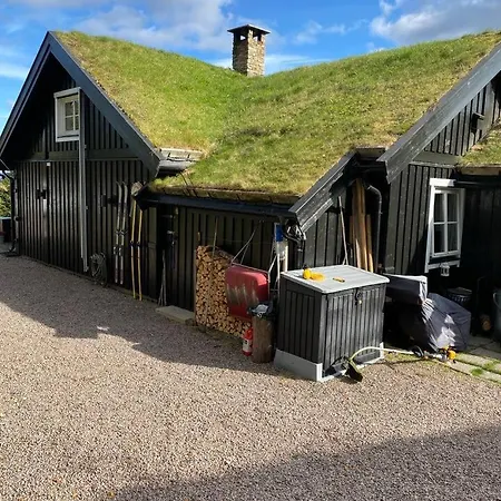 Cosy Ski-in Ski-out Mountain With Sauna * Trysil