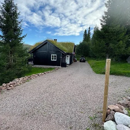 Cosy Ski-in Ski-out Mountain With Sauna Alpehytte *